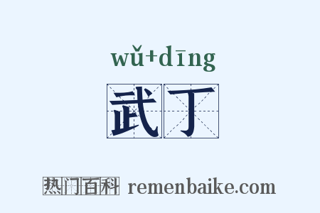 武丁是什么意思的图片